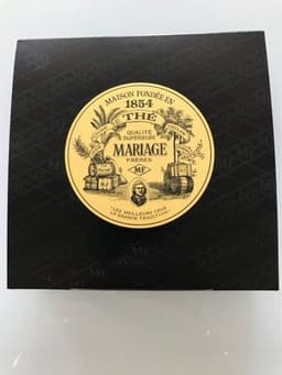 마르코 폴로 베르트